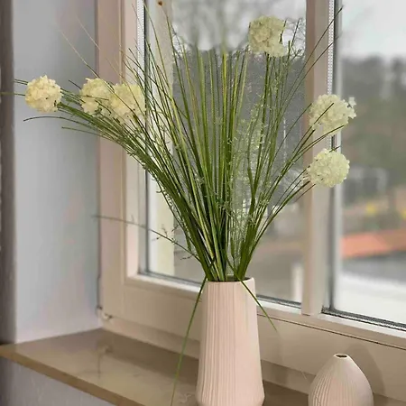 Discovair Graal-müritz -villa Victoria- Strandnah Mit Netflix Apartment *